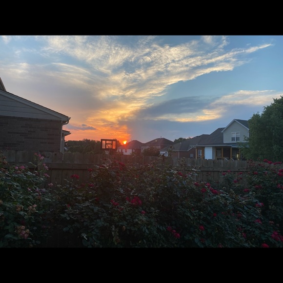 Meet your Posher, Cindy - Picture 1 of 1